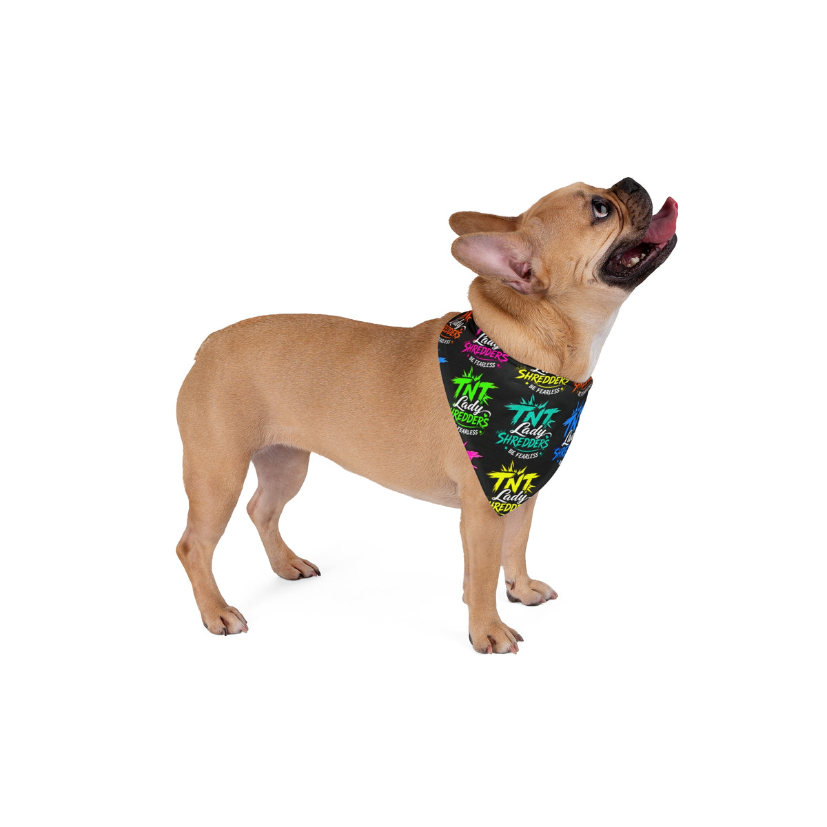 Shredders Graffiti Pet Bandana — image 4 of 4